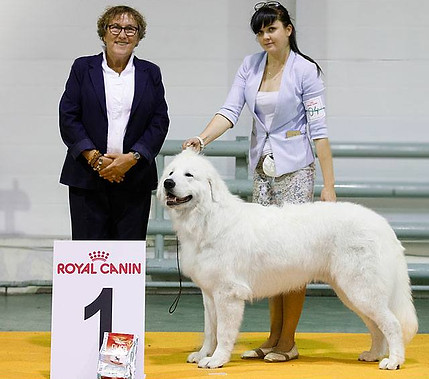 MARYANO ( Аyman & Аnima Аrdente) Junior European Champion